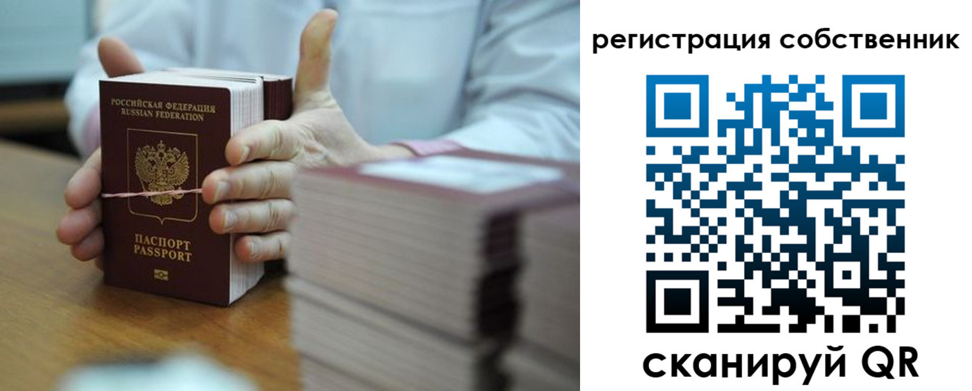 временная регистрация гарантия в Алексеевке